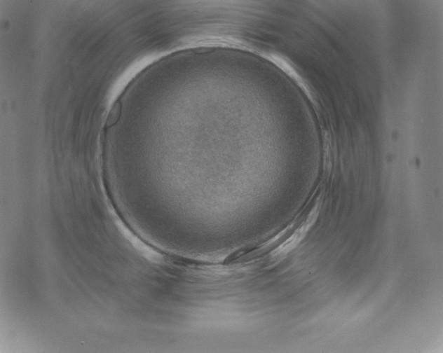 X0000074231438200609011231