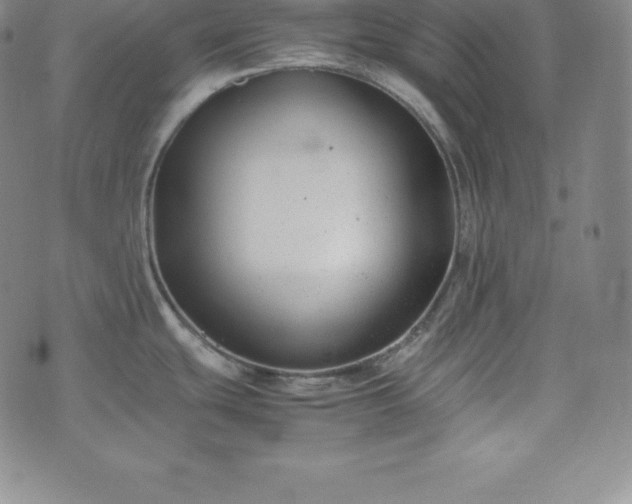 X0000074231439200609011231