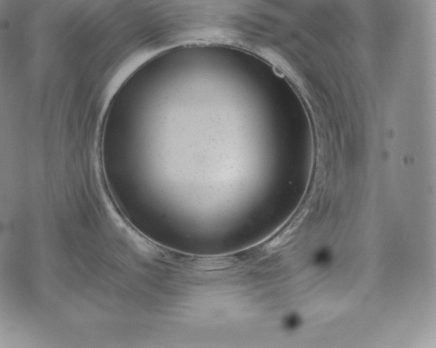 X0000074231440200609011231