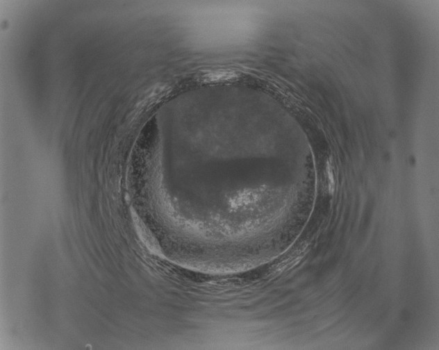 X0000074231441200609011230