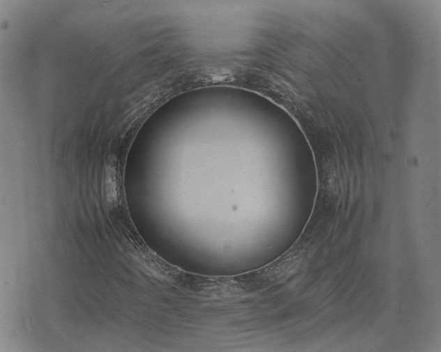 X0000074231442200609011230