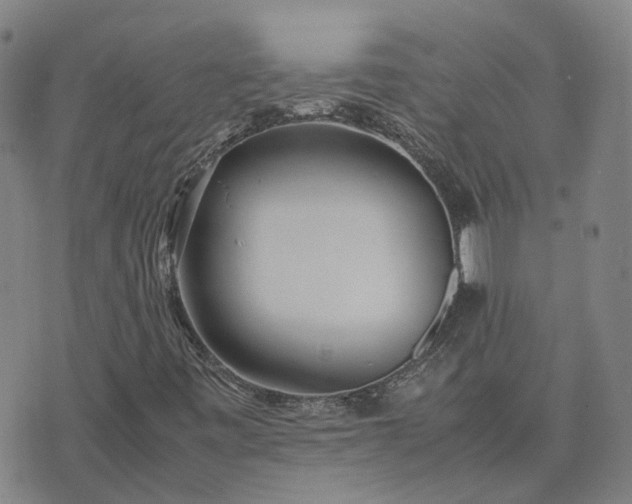 X0000074231443200609011230