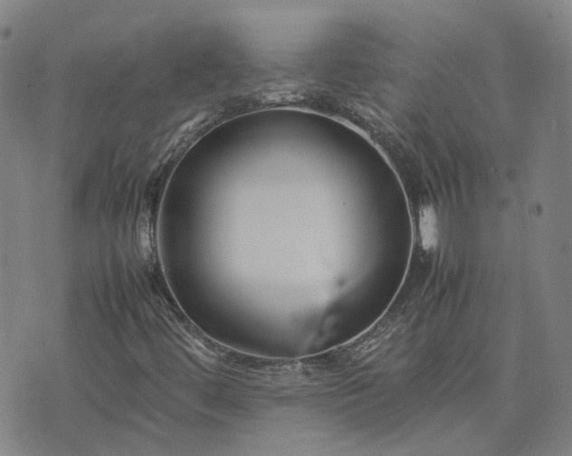 X0000074231444200609011230