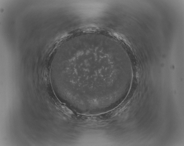 X0000074231445200609011230