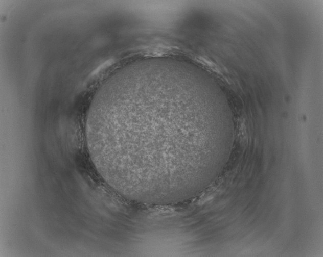 X0000074231446200609011230