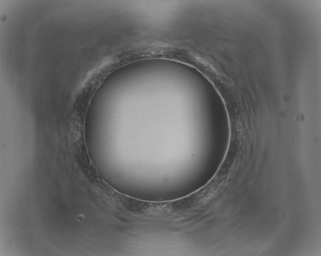 X0000074231447200609011230