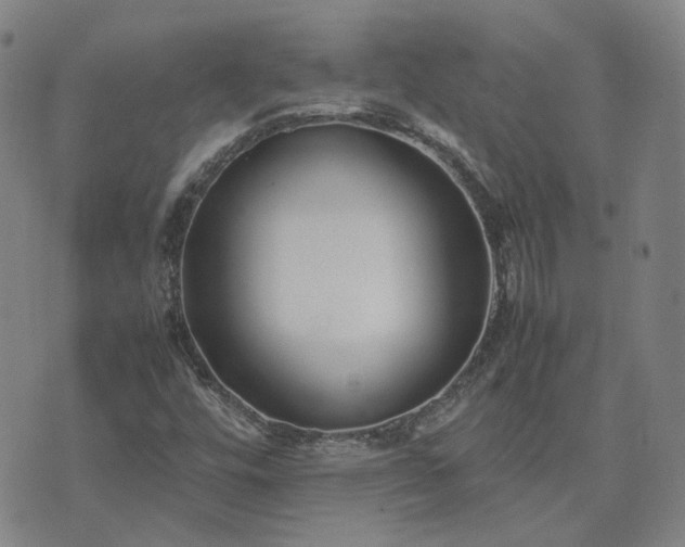 X0000074231448200609011230