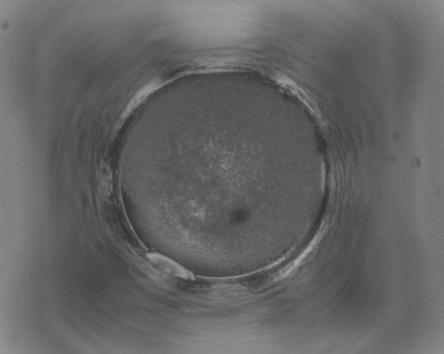 X0000074231449200609011230