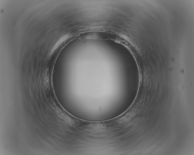 X0000074231450200609011230