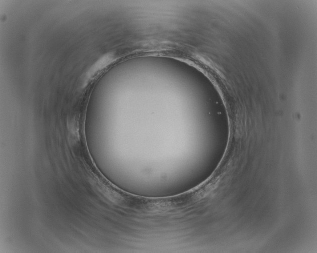 X0000074231451200609011230