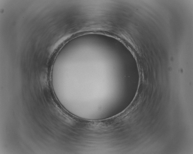 X0000074231452200609011230