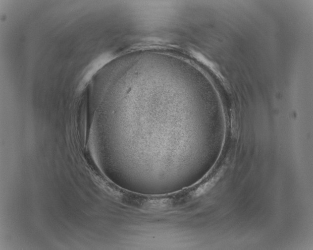 X0000074231453200609011230