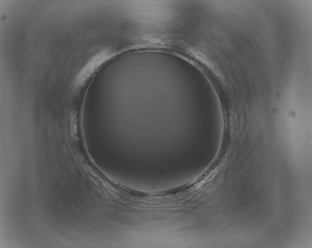 X0000074231455200609011230