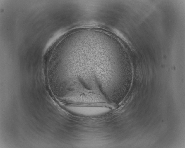 X0000074231456200609011230