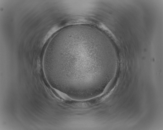 X0000074231457200609011230