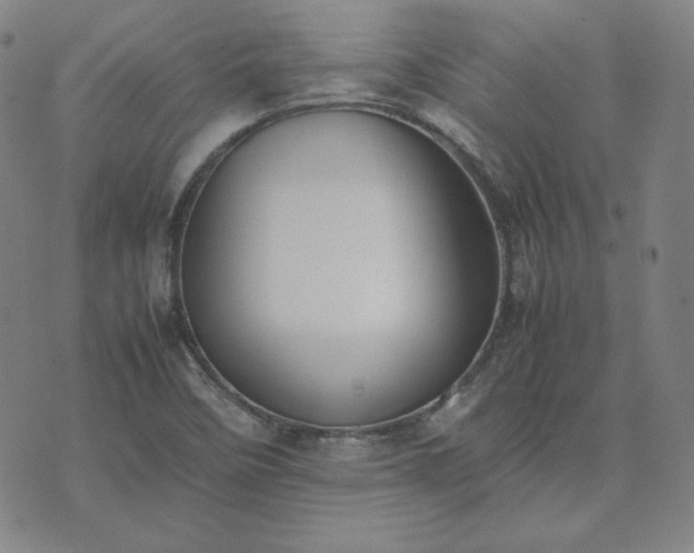 X0000074231458200609011230