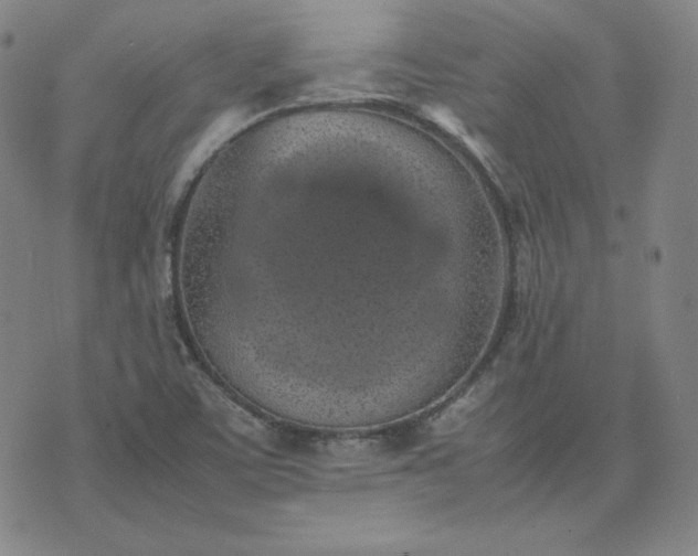 X0000074231459200609011230