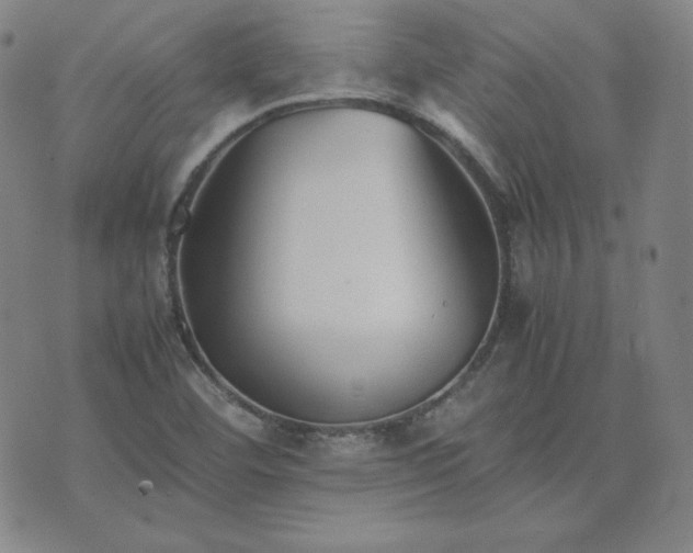 X0000074231460200609011230