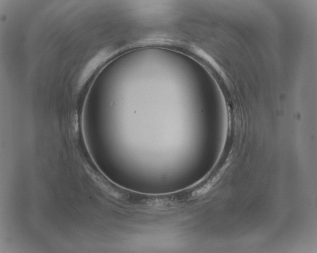 X0000074231461200609011230