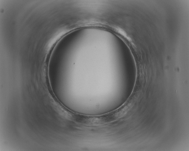 X0000074231463200609011230