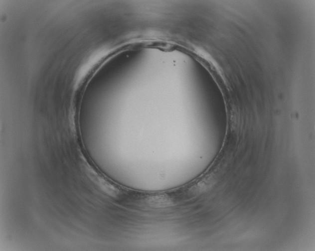 X0000074231464200609011230