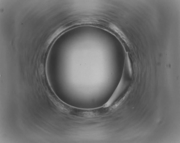 X0000074231465200609011230