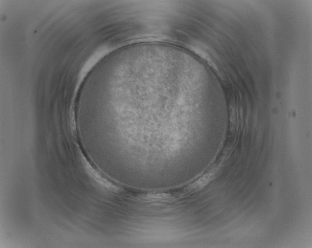 X0000074231466200609011229