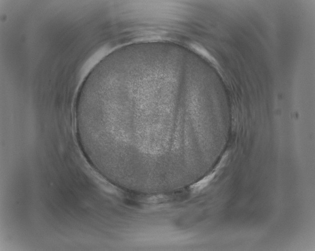 X0000074231467200609011229