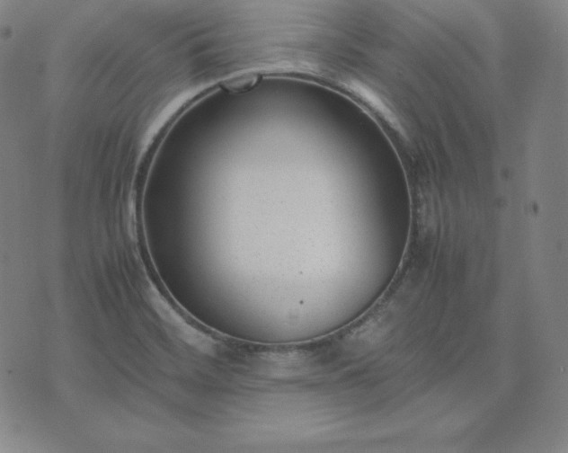 X0000074231468200609011229