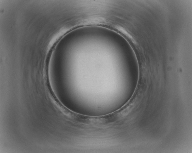 X0000074231469200609011229