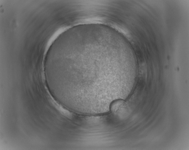 X0000074231470200609011229