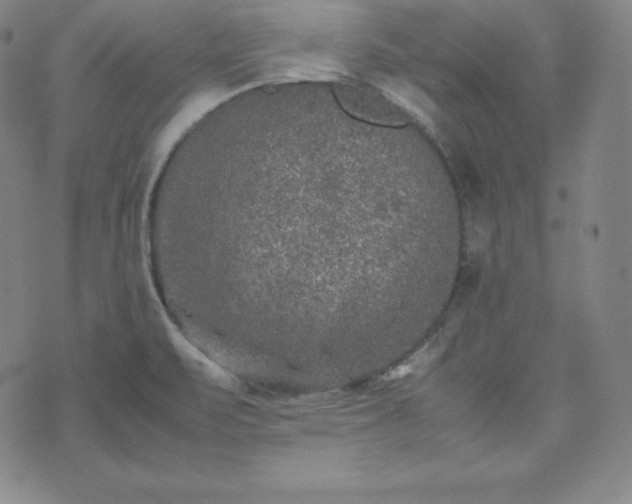 X0000074231471200609011229