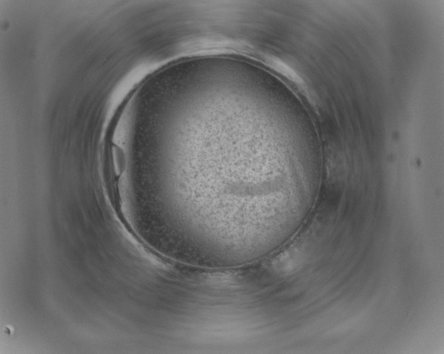 X0000074231472200609011229