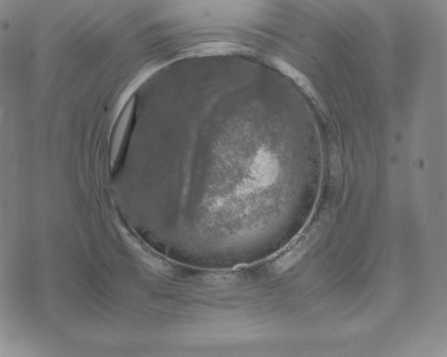 X0000074231473200609011229