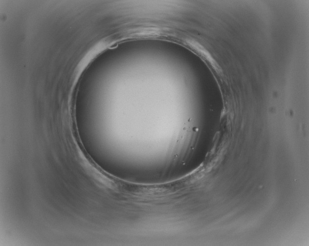 X0000074231475200609011229