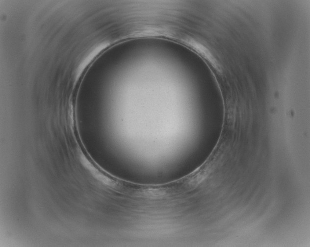 X0000074231476200609011229