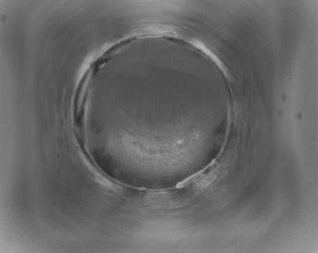 X0000074231477200609011229