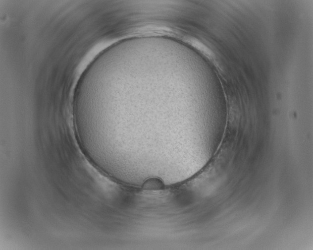 X0000074231478200609011229