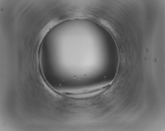 X0000074231479200609011229