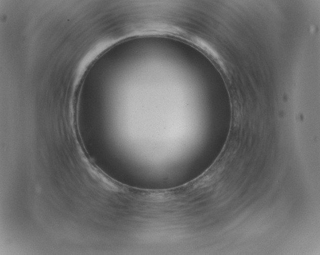 X0000074231480200609011229