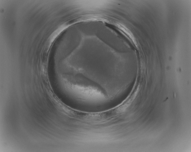 X0000074231481200609011229