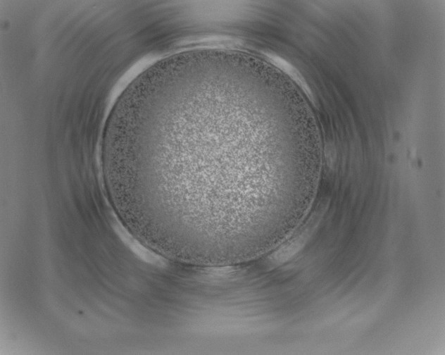 X0000074231482200609011229