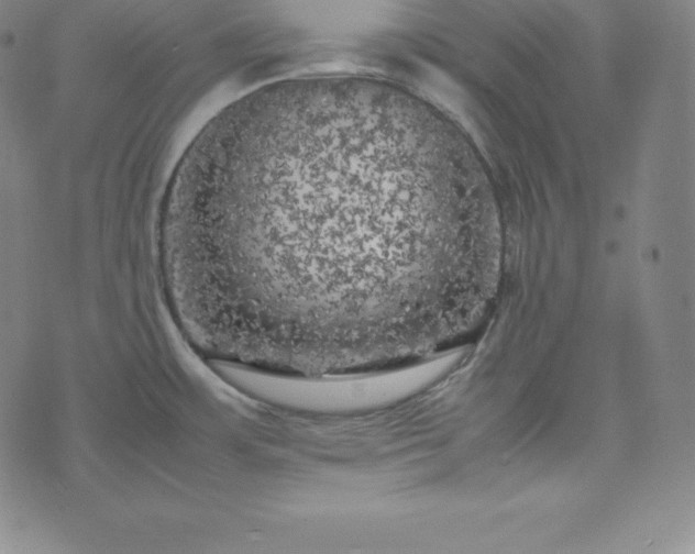 X0000074231483200609011229