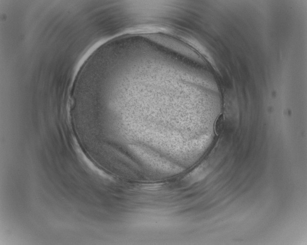 X0000074231484200609011229