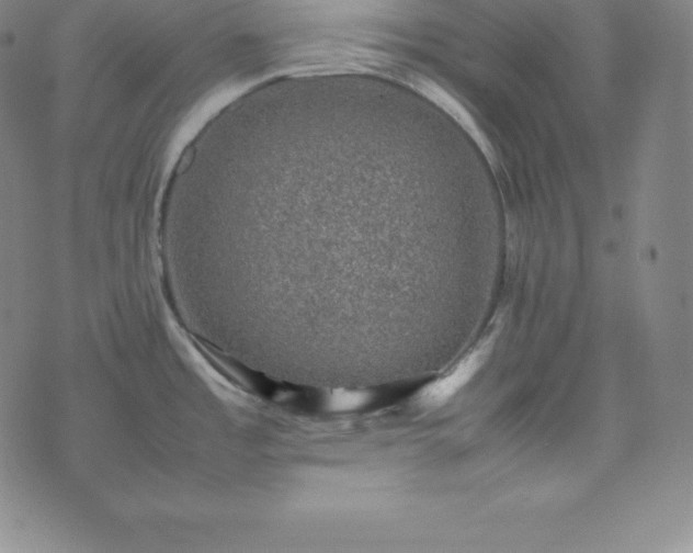 X0000074231485200609011229