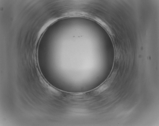 X0000074231486200609011229