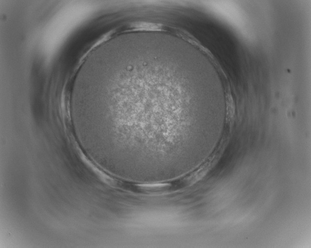 X0000074231487200609011229