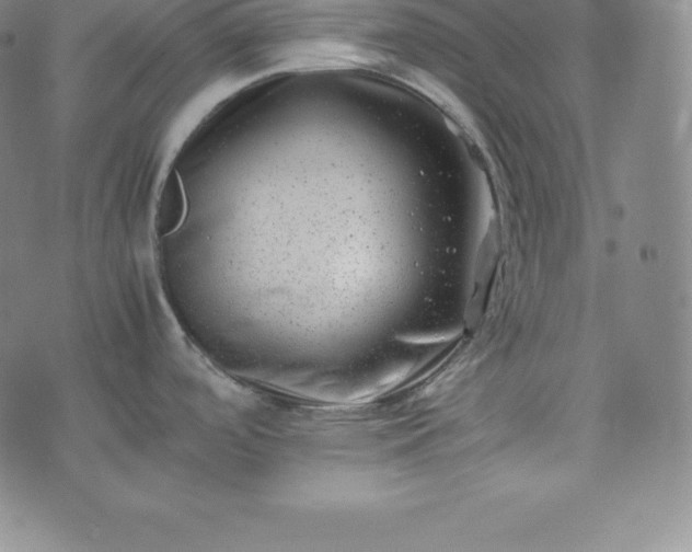 X0000074231488200609011229