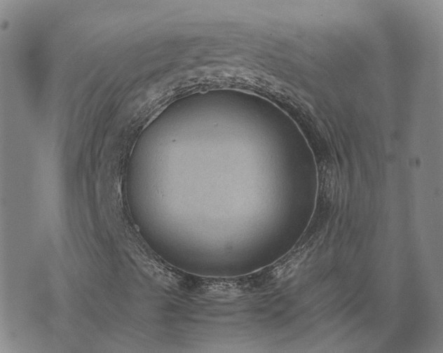 X0000074231489200609011228