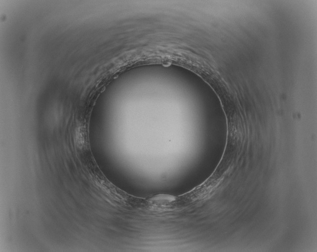 X0000074231490200609011228